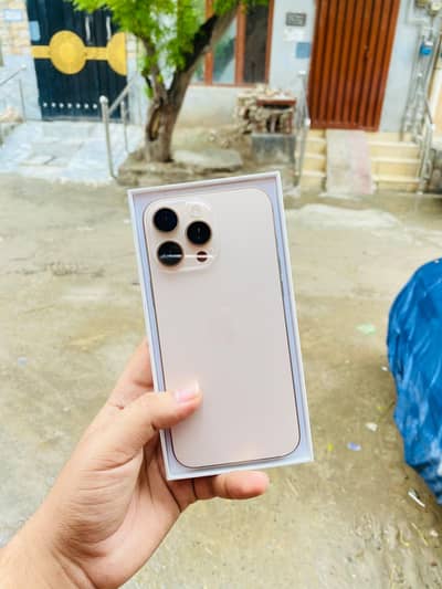 Apple iPhone 16 Pro Max