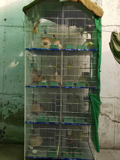 Cage with Birds.