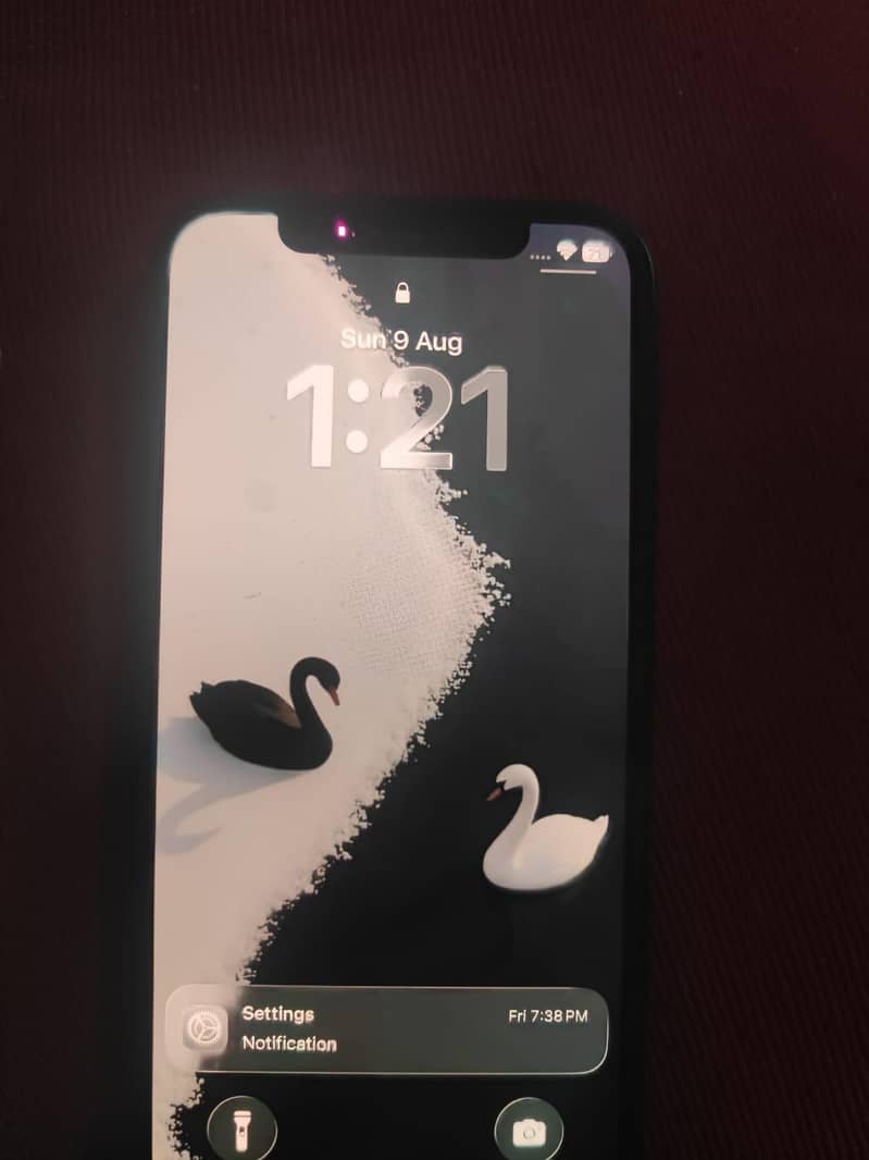 Apple iPhone 12 1