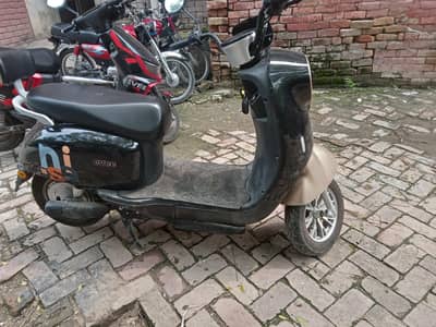 Evee Nisa for sale