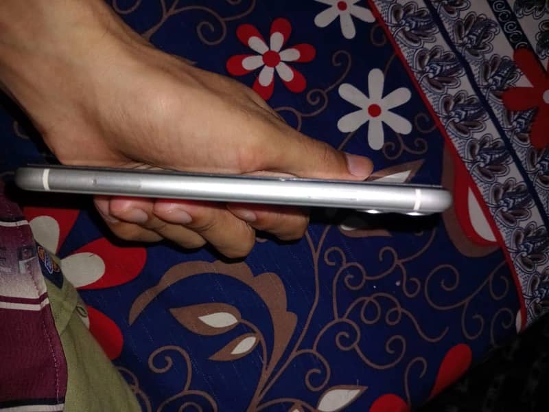 Apple iPhone 11 jv 5