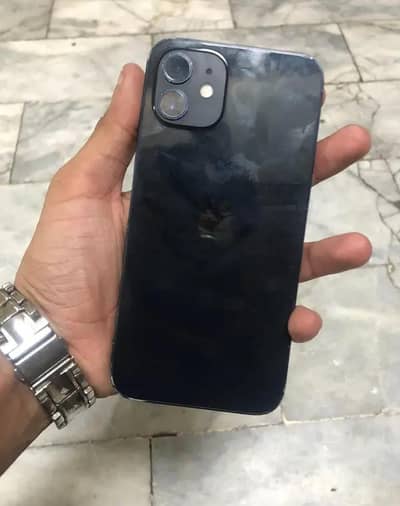 Apple iPhone 12