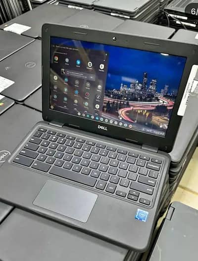 Dell(3100)