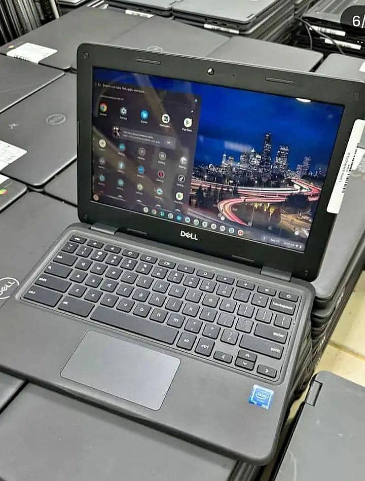 Dell(3100) 0
