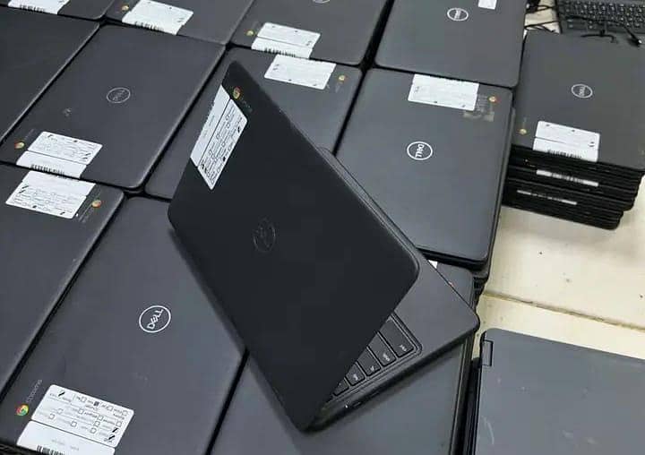 Dell(3100) 1