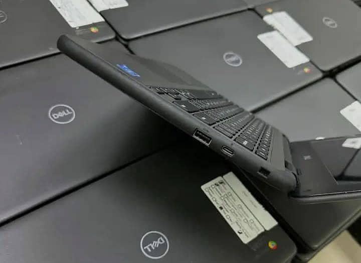 Dell(3100) 2