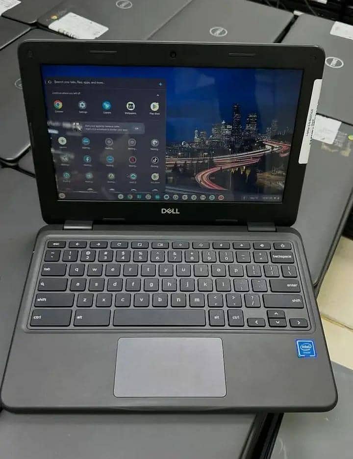 Dell(3100) 3