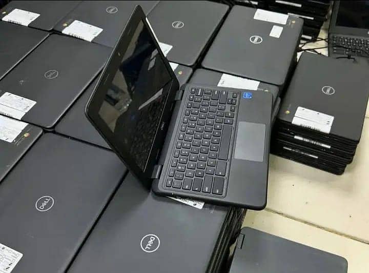 Dell(3100) 4