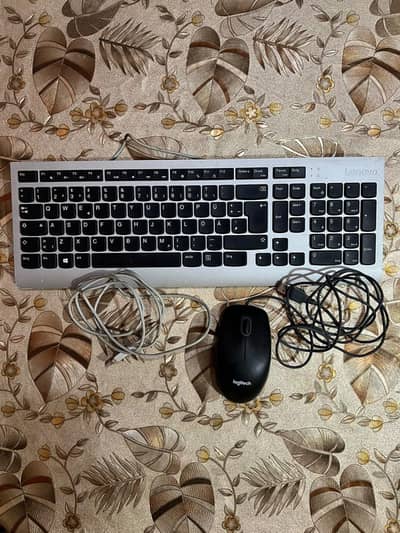 Lenovo USB Keyboard + Logitech Mouse Combo – Excellent Used Condition