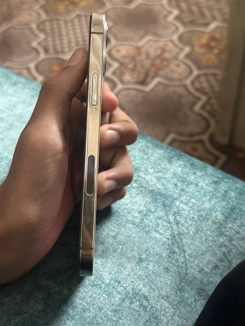 Apple iPhone 12 Pro 1