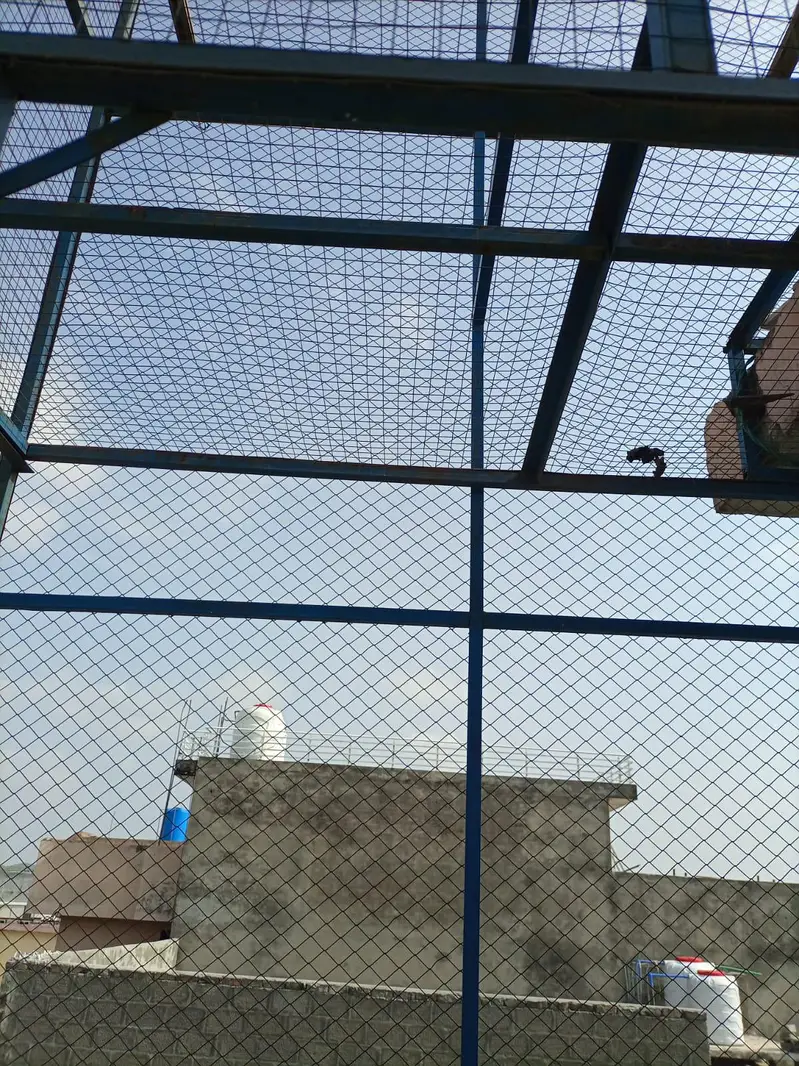 pigeon cage ,iron cage — photo 2