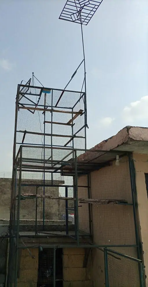pigeon cage ,iron cage — photo 4