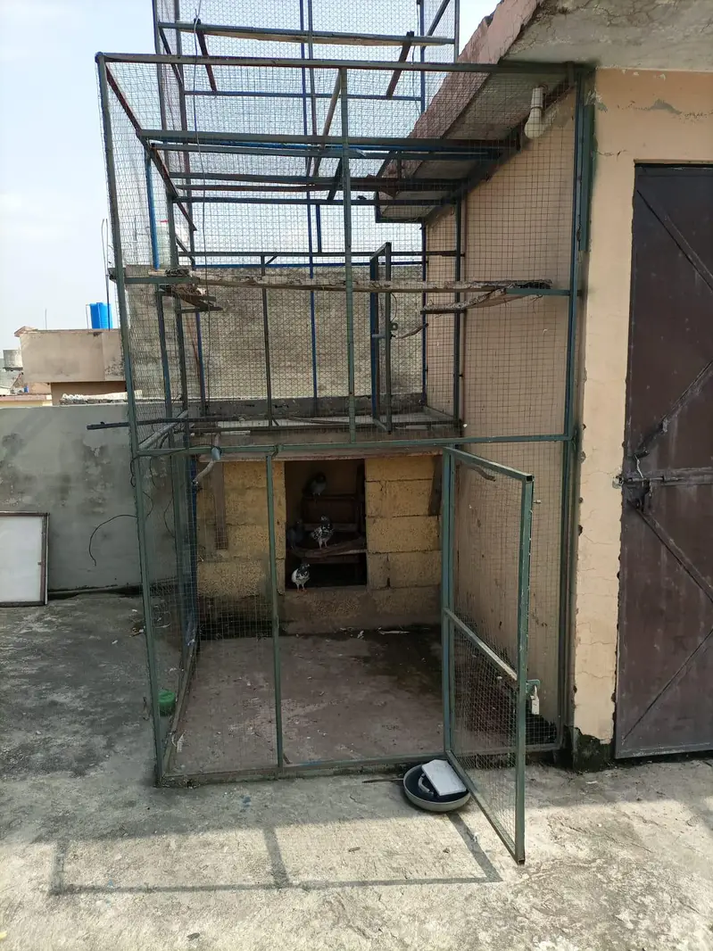 pigeon cage ,iron cage — photo 5