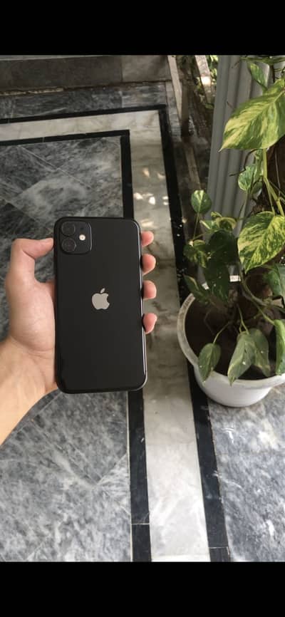 Apple iPhone 11