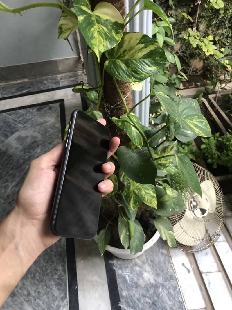 Apple iPhone 11 5