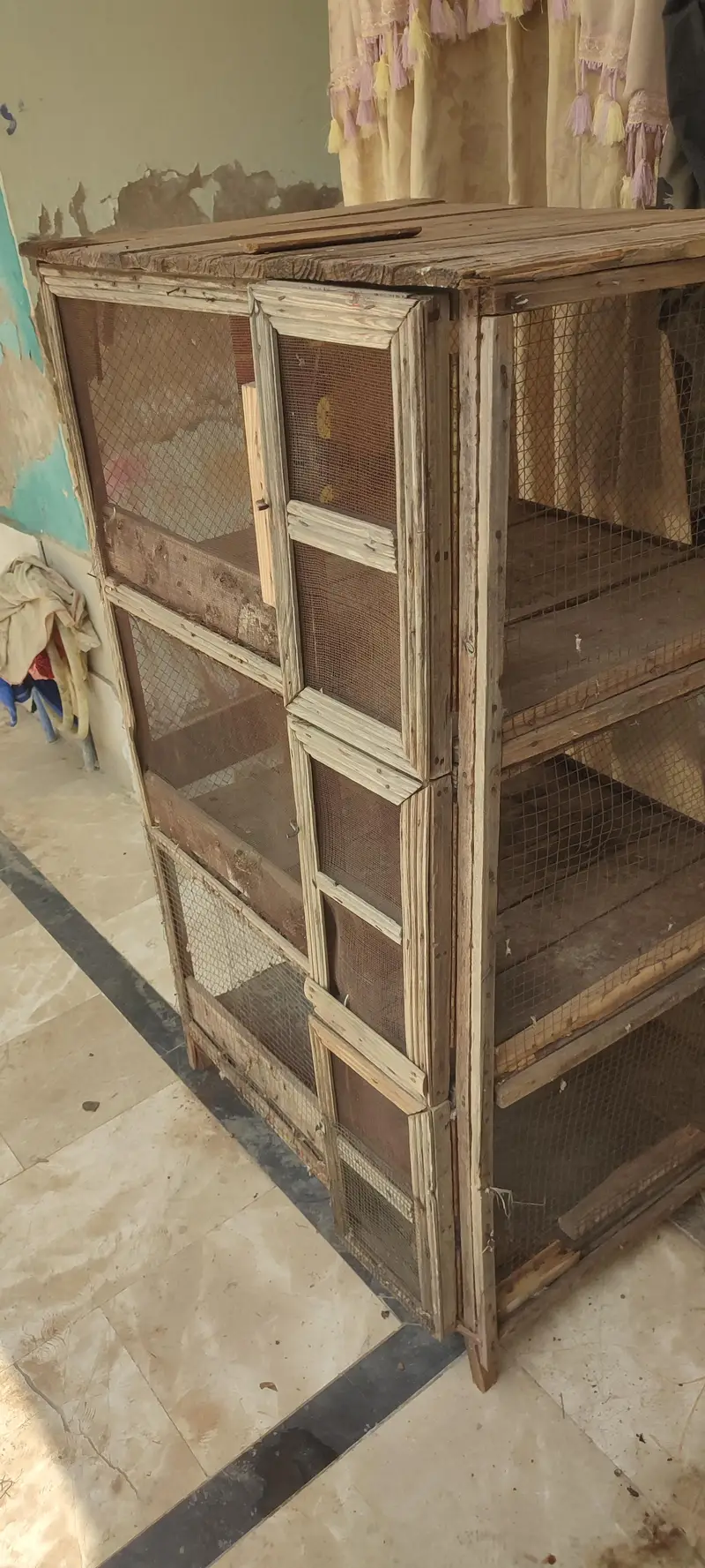 3 portion big cage . — photo 2
