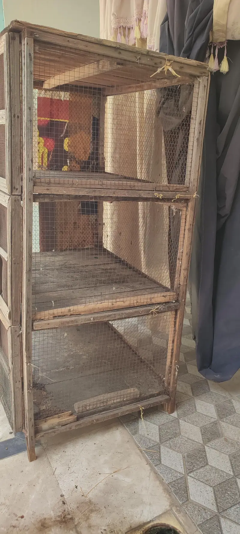 3 portion big cage . — photo 3