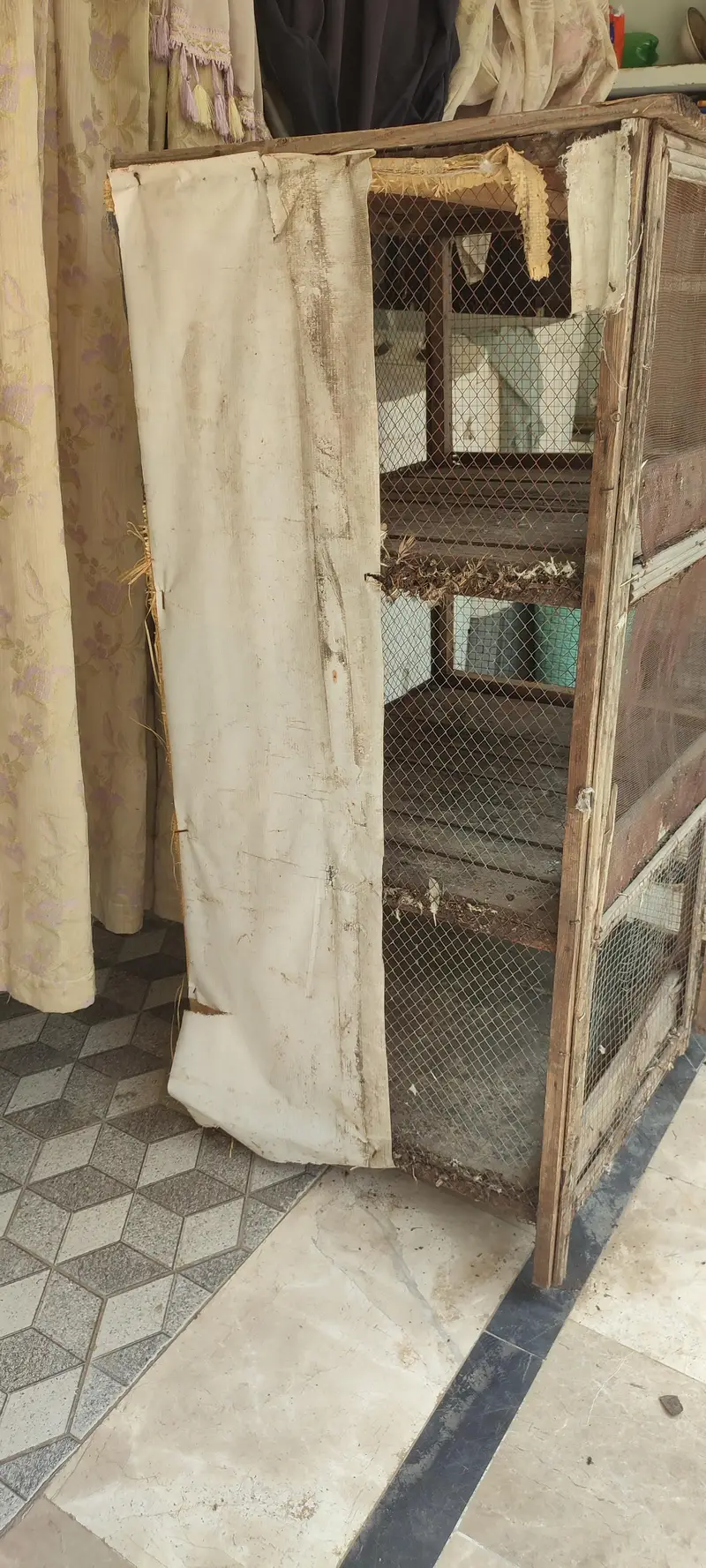 3 portion big cage . — photo 4