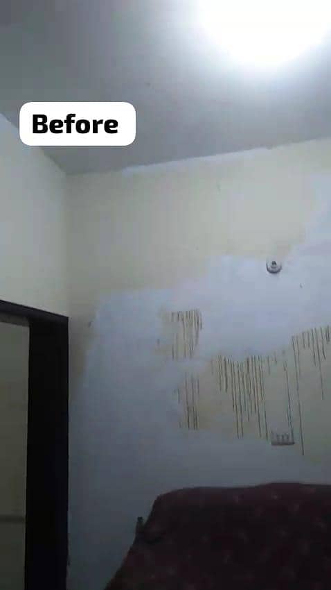 Painter 1