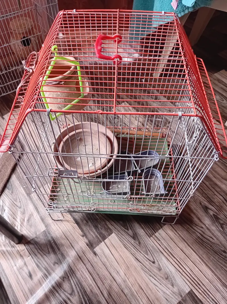 2 Bird Cages Available – Excellent/New Condition — photo 2