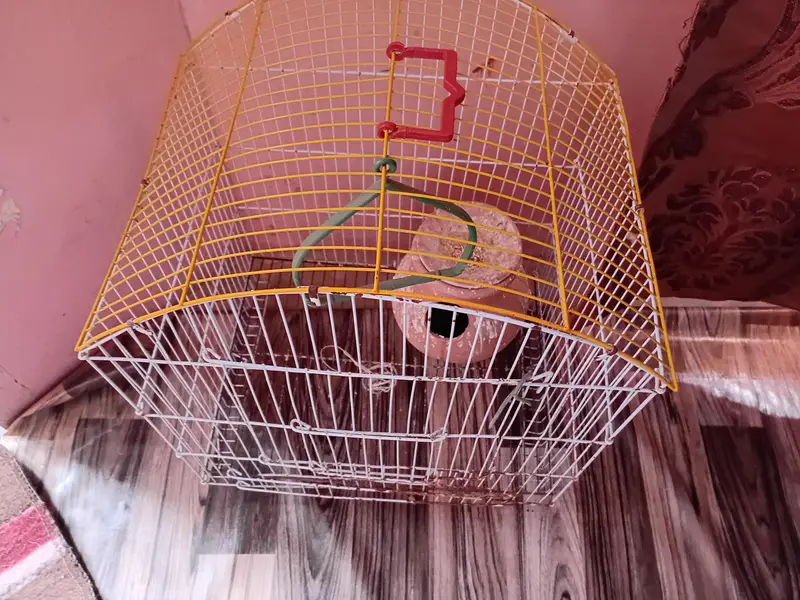 2 Bird Cages Available – Excellent/New Condition — photo 3