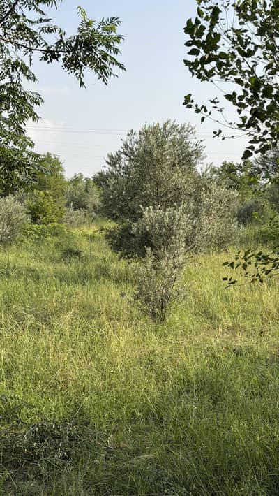 234 kanal farm house