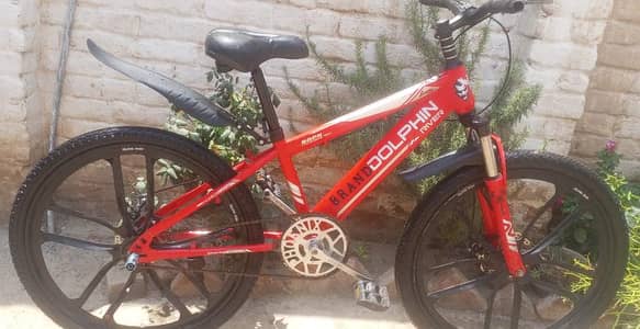 Full size imported dolphin river cycle for sale.