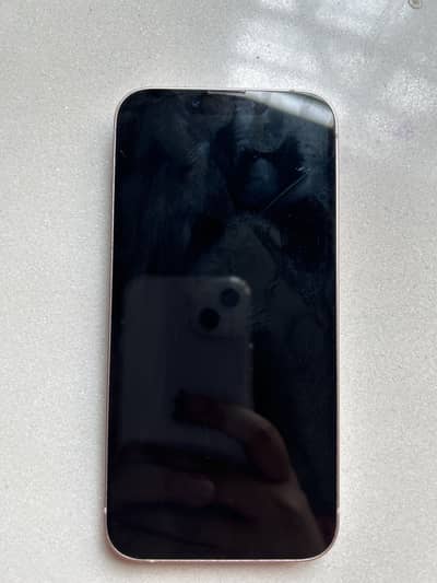 Apple iPhone 13