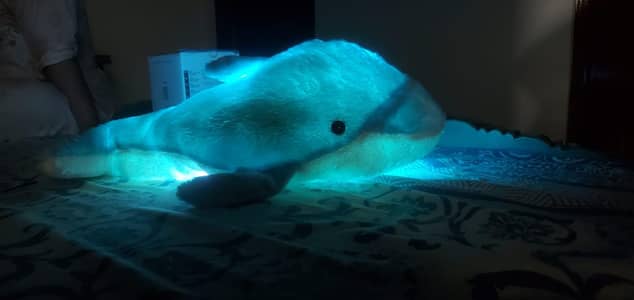 LED light up Dolphin plush Toy - Night lamp for kids