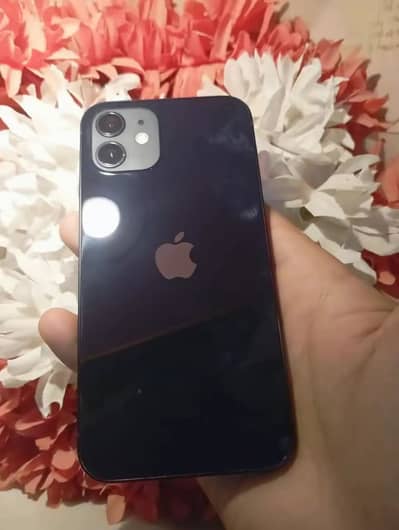 Apple iPhone 12