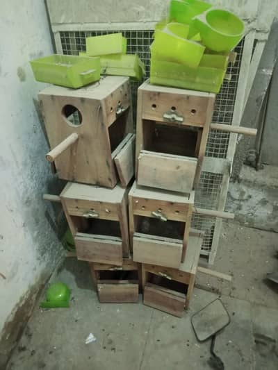 love birds bredig box