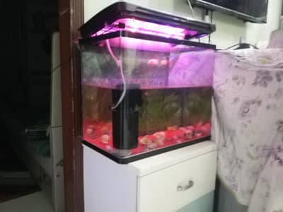 fish aquarium fiber with filter heater and pump and two free fish
