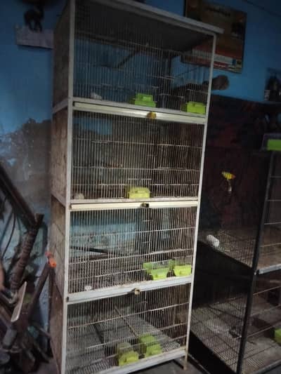 Birds cage full angal ma ha