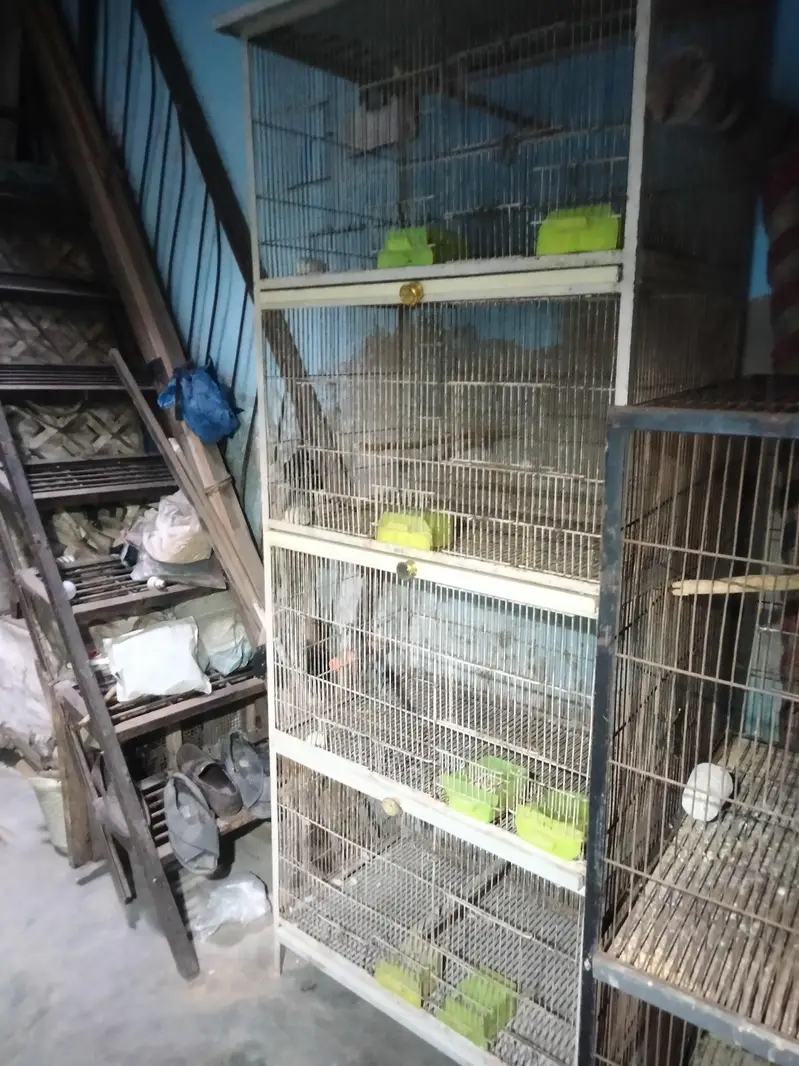 Birds cage full angal ma ha — photo 2