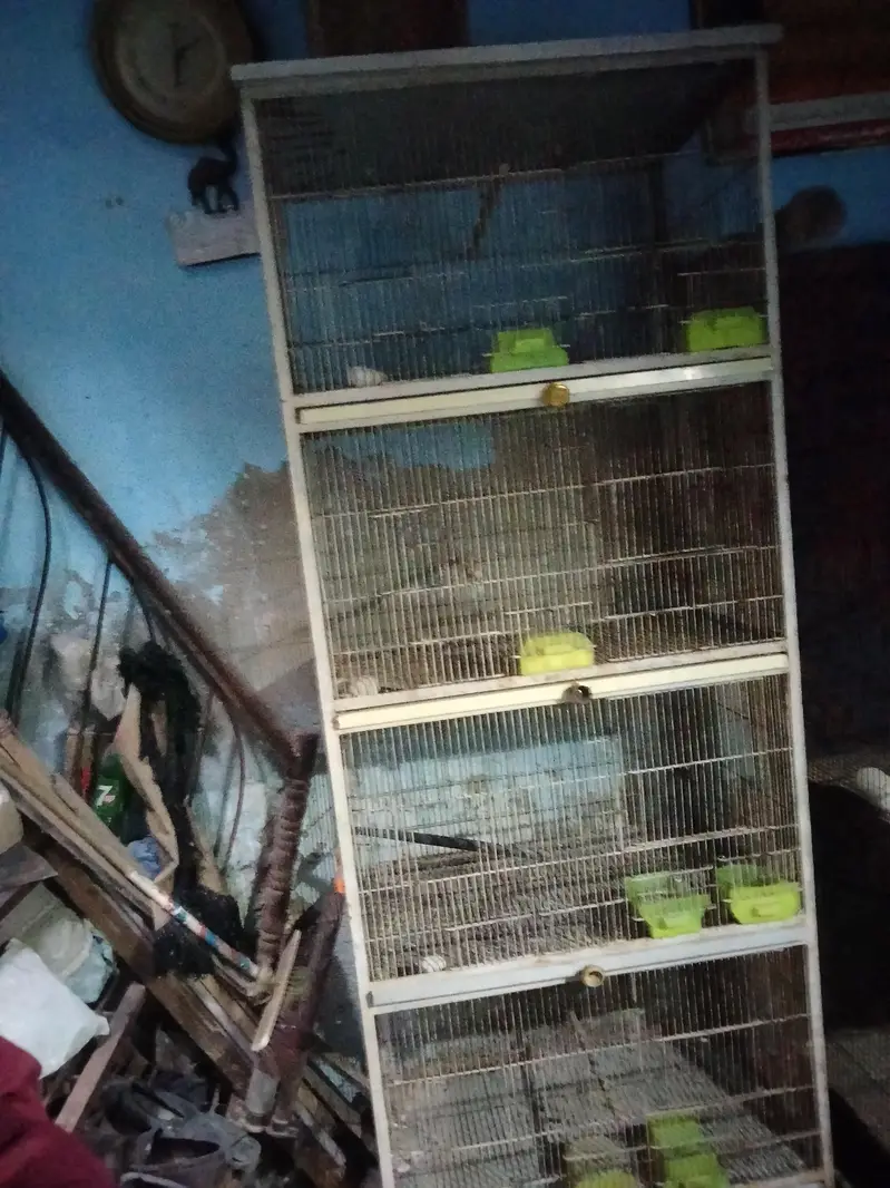 Birds cage full angal ma ha — photo 4