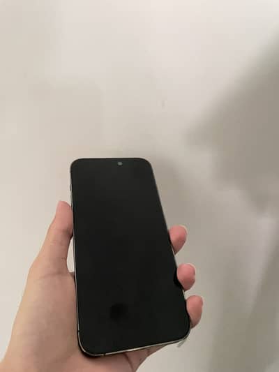 iPhone 14 pro max 256 gb
