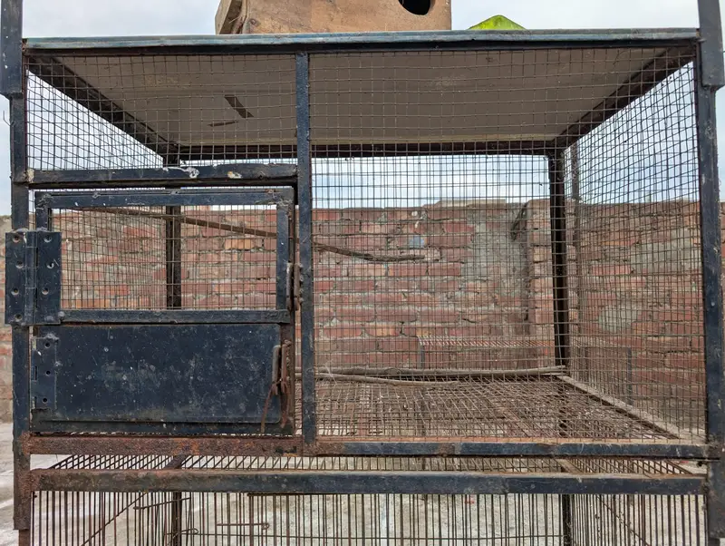Cage for Sale – Good Condition | 3×1.5×1.5 ft — photo 6