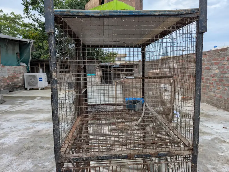 Cage for Sale – Good Condition | 3×1.5×1.5 ft — photo 7