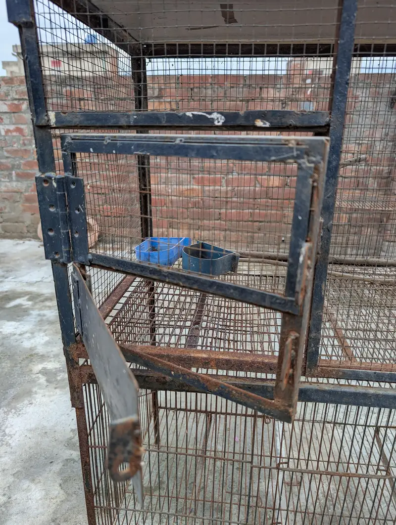 Cage for Sale – Good Condition | 3×1.5×1.5 ft — photo 8