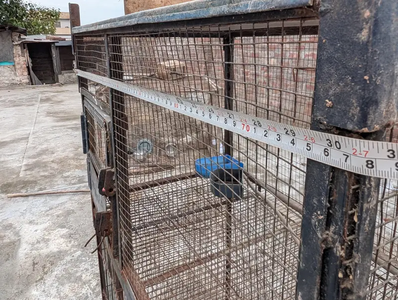 Cage for Sale – Good Condition | 3×1.5×1.5 ft — photo 9