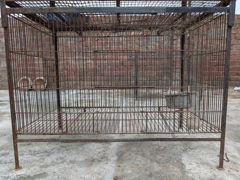 Cage for Sale – Good Condition | 3×1.5×1.5 ft — photo 12