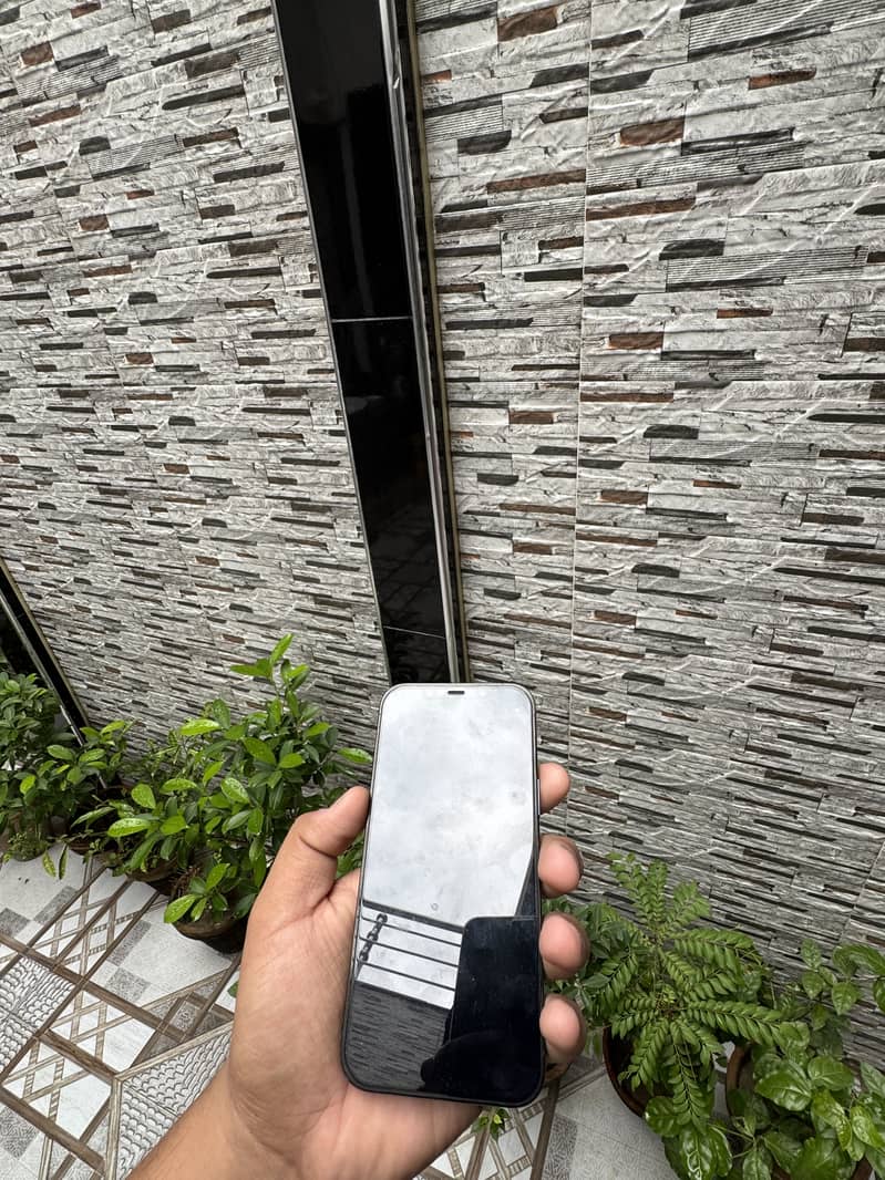 Apple iPhone 12 Pro Max 1