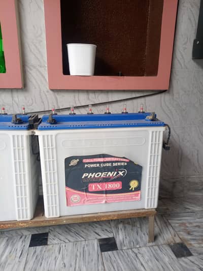 Phoenix 12v Solar tall tubular batteries