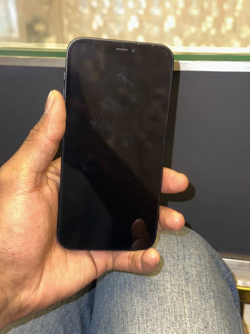 Apple iPhone 12 1