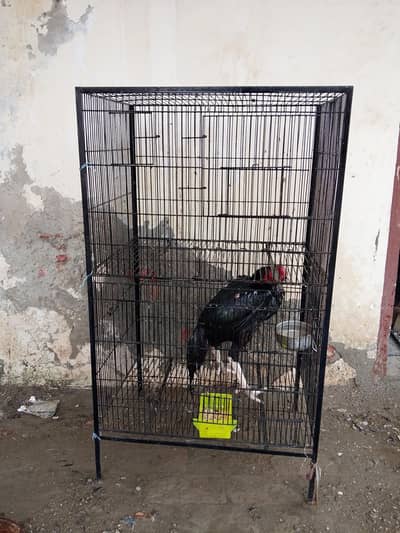 cage for sale