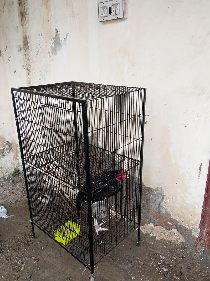cage for sale — photo 2