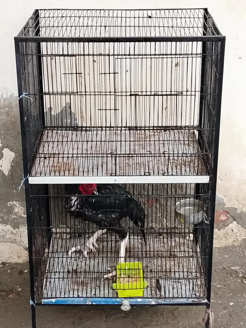 cage for sale — photo 3