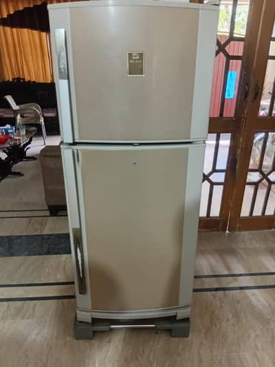 Dawlance Medium size