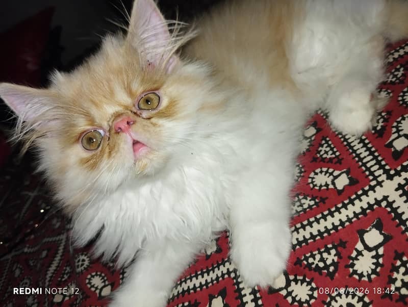 piki face 0