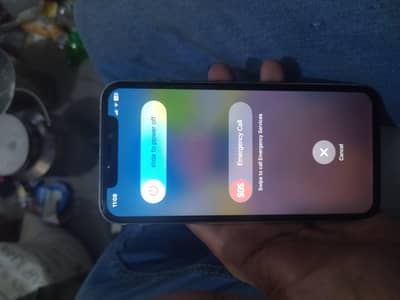 Apple iPhone X
